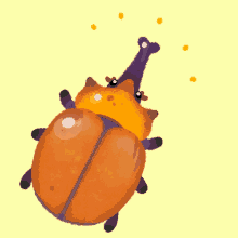 happy beetle