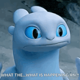 a toothless from how to train your dragon says what the what is happening rn !