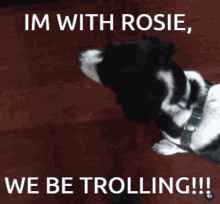 Rosie GIF - Rosie GIFs