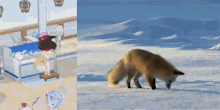 a fox is walking on a snowy beach next to a cartoon girl .