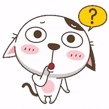 Cat Confused GIF - Cat Confused Question GIFs