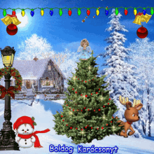 Boldog Karácsonyt Merry Christmas GIF - Boldog Karácsonyt Merry Christmas Christmas Tree GIFs