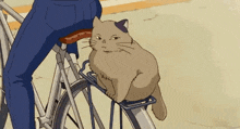 Cat Bicycle GIF - Cat Bicycle Anime GIFs