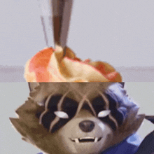 a close up of a raccoon 's face with a piece of fruit on it