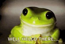 Well Hello There Frog GIF