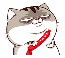ami fat cat ami sausage hotdog angry