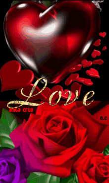 heart love rose reds