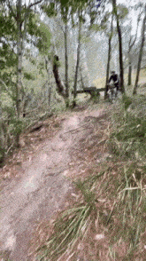 a blurred image of a person riding a bike on a trail