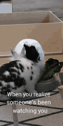 Foodie Eating GIF - Foodie Eating When You Realized GIFs