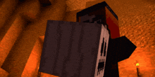 a minecraft character with a skeleton face on his back