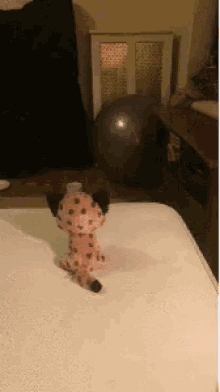 Cat Tackle GIF - Cat Tackle Lolcat GIFs