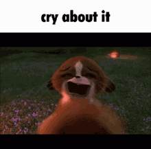 Cry About It Meme Gif Mort Madagascar GIF - Cry About It Meme Gif Cry About It Meme Cry About It GIFs