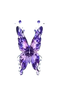 a purple butterfly with green wings and rhinestones