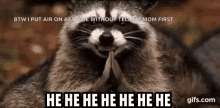 Raccoon Weird GIF - Raccoon Weird Clapping GIFs