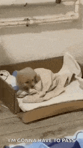Puppy Tired GIF