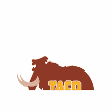 taco tacocavernicola