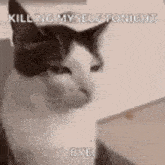 a black and white cat is sitting on a chair with the words `` killing myself tonight bye . ''