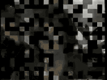 Rexona GIF - Rexona GIFs