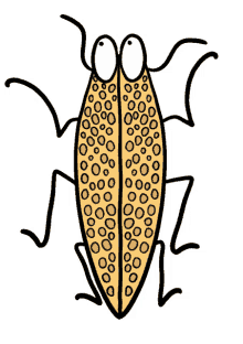 insect pest doodle running cockroach
