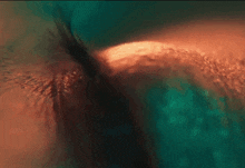 a close up of a person 's eye with a green and orange background