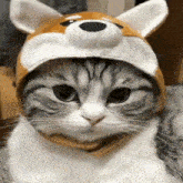 Catjudge Catwithahat GIF - Catjudge Catwithahat Cathat GIFs