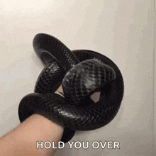 Black Snake GIF - Black Snake GIFs