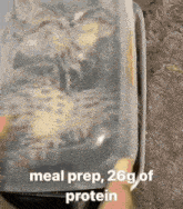 26g Of Protein Meal Prep GIF - 26g Of Protein Meal Prep Silly Kitten GIFs