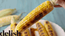 Corn On The Cob GIF - Delicious Hungry Food GIFs