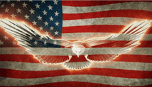 an american flag with an eagle on it