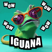 a chameleon wearing sunglasses is surrounded by stickers that say wow and iguana