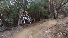 Mountian Biking GIF - Mountian Biking GIFs