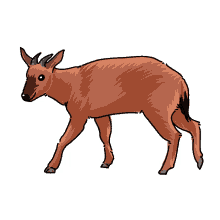 goral red goral goral red goral