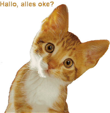 Cat Cute Sticker - Cat Cute Pet Stickers