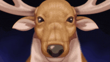 a close up of a reindeer 's face with a blue background