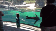 Seal Concern About Little Girl Falling GIF - Concern Seal Stop GIFs