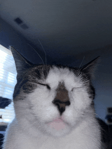 Cat Tired GIF - Cat Tired Im Tired GIFs