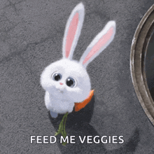 Snowball Bunny Carrot GIF - Snowball Bunny Carrot Nuf Nuf GIFs
