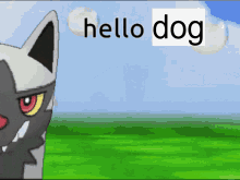 Hellodog Magnaballs GIF - Hellodog Magnaballs GIFs