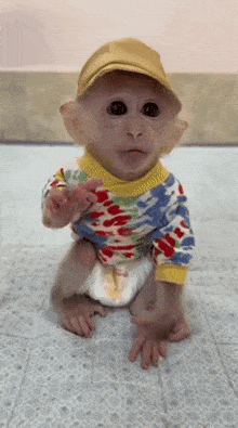 Fruityrsreal Monkey GIF - Fruityrsreal Monkey GIFs