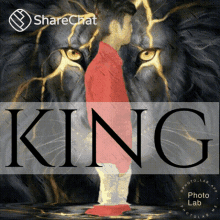 King फ़ोटो GIF - King फ़ोटो शेर GIFs