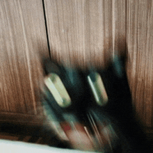 Cat Falling Anxiety GIF - Cat Falling Cat Falling GIFs