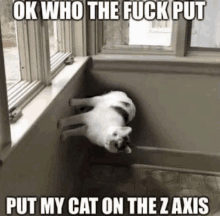 Cat On Z Axis GIF - Cat On Z Axis GIFs