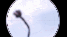 a sniper scope shows a flower in the middle of a target