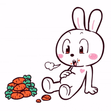 animal bunny rabbit cute full