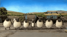 Sheeps Counting GIF - Sheeps Counting Tap Dance GIFs