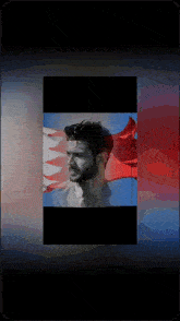 a man with a beard stands in front of a flag