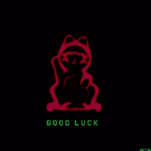 Good Luck Kitty GIF
