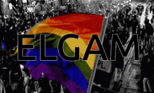 Elgam Elgay GIF - Elgam Elgay Gay GIFs