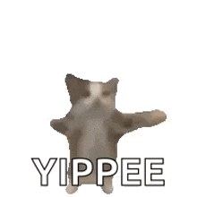 a cat is standing on its hind legs with its arms outstretched and the word yippee written below it .