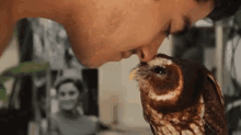 If You Were Wondering What A Mottled Owl Nuzzle Looked Like.. Now You Know GIF - Owls Birds Cute GIFs
